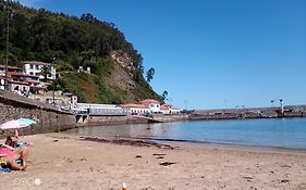 Tazones 79 VUT6993AS